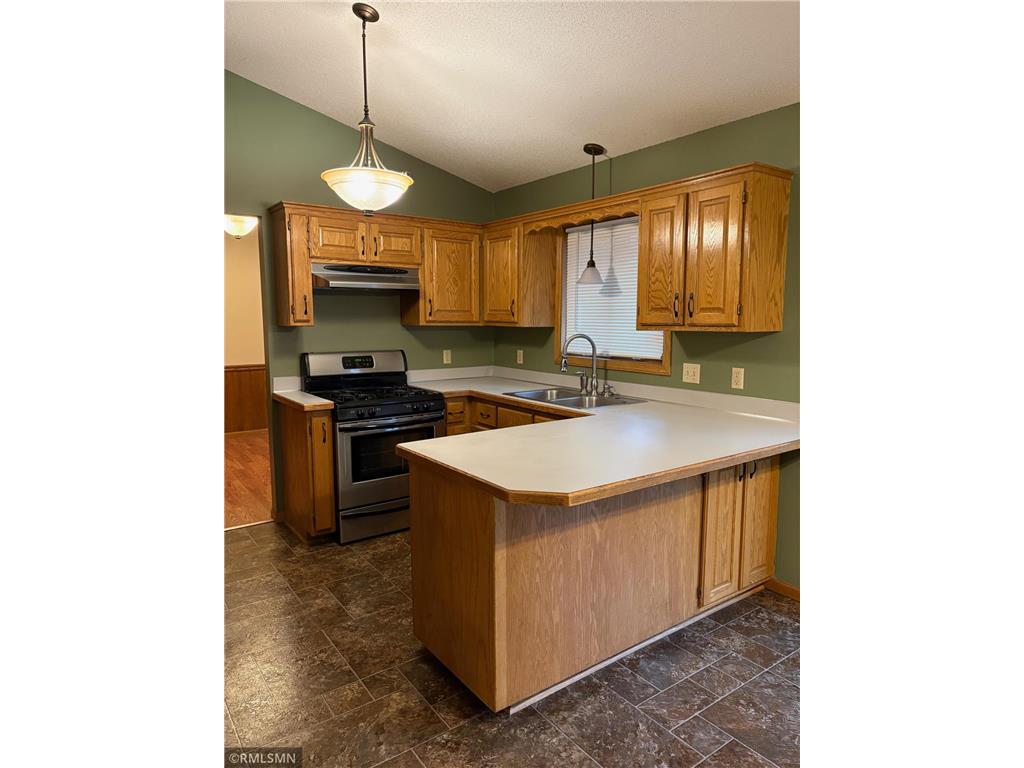 12461 Larch Street NW Coon Rapids MN 55448 6823114 image5