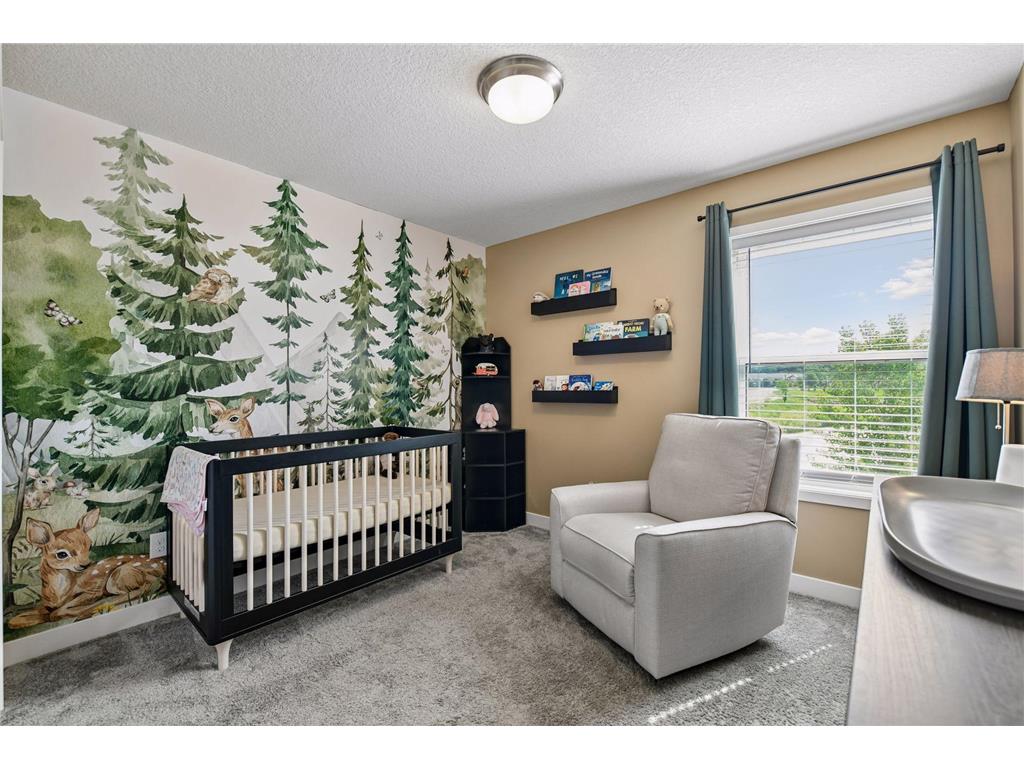 1247 Maple Lane Carver MN 55315 7081035 image36