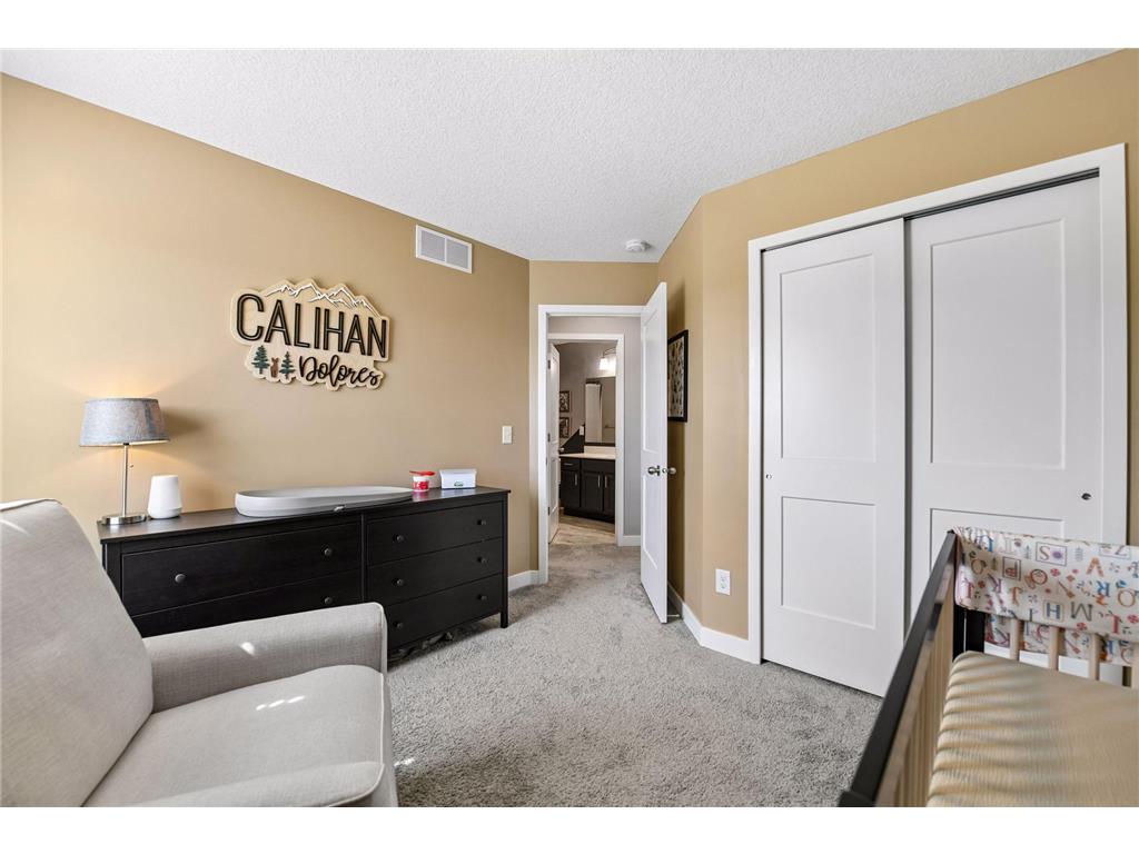1247 Maple Lane Carver MN 55315 7081035 image37