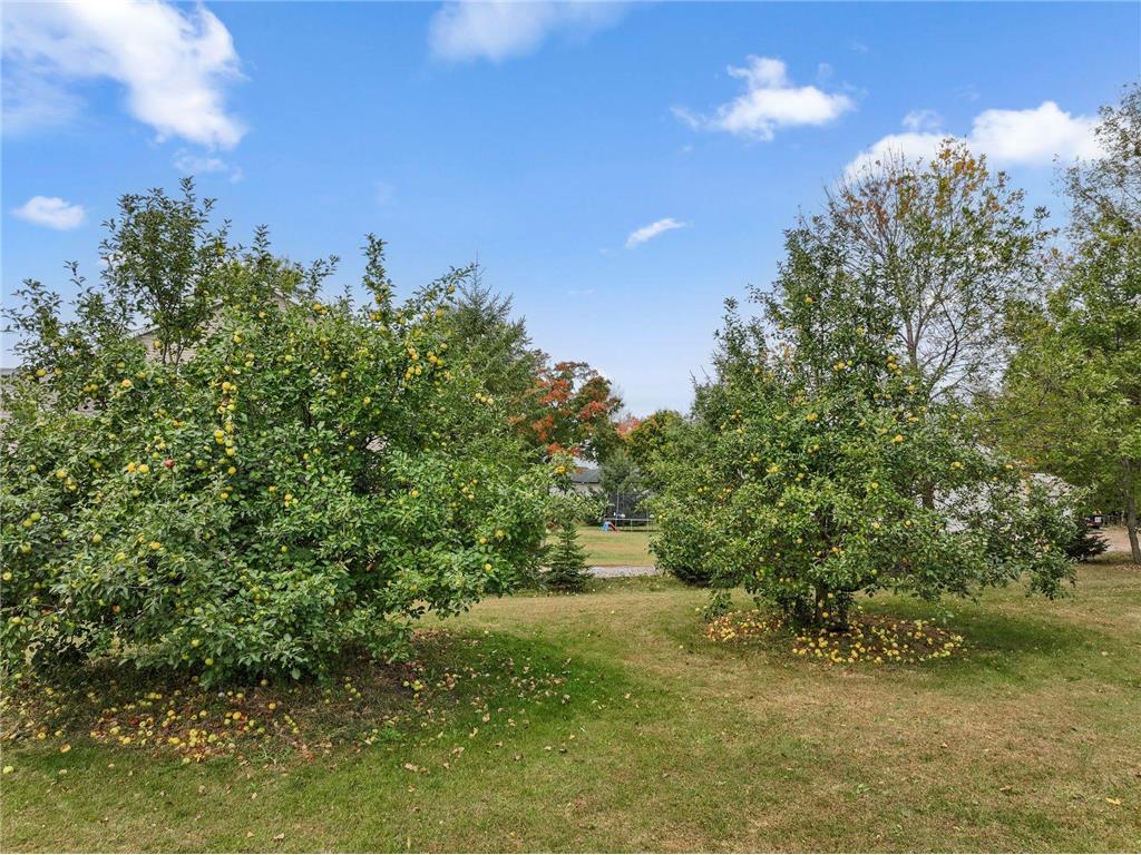 12470 W 270th Street Belle Plaine MN 56011 6733003 image73