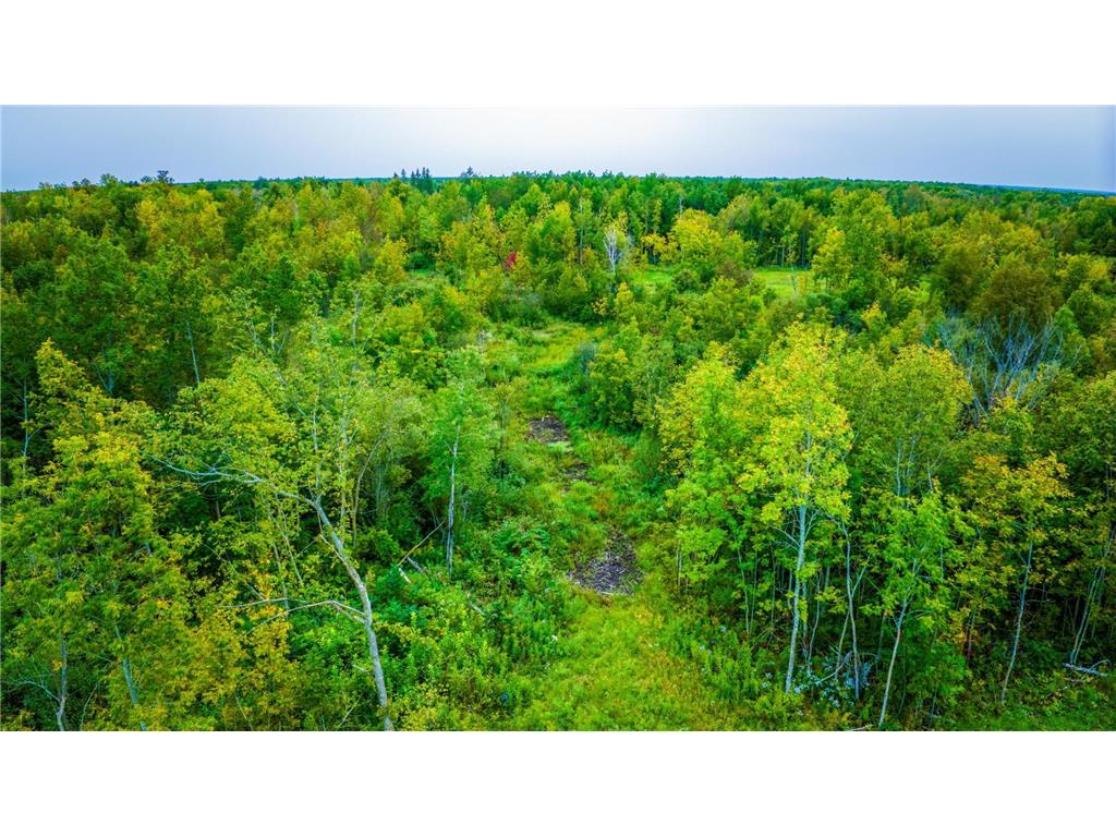 12479 Battle Road NE Blackduck MN 56630 6789860 image11