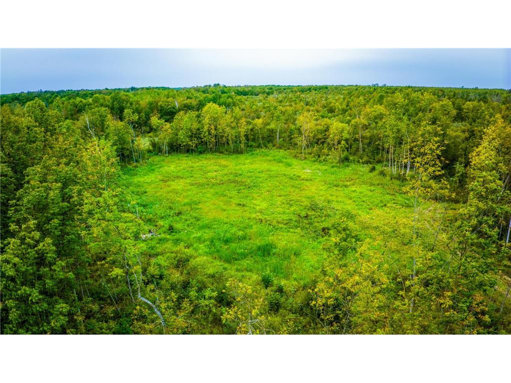 12479 Battle Road NE Blackduck MN 56630 6789860 image12