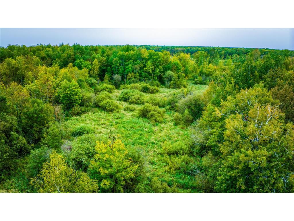 12479 Battle Road NE Blackduck MN 56630 6789860 image13