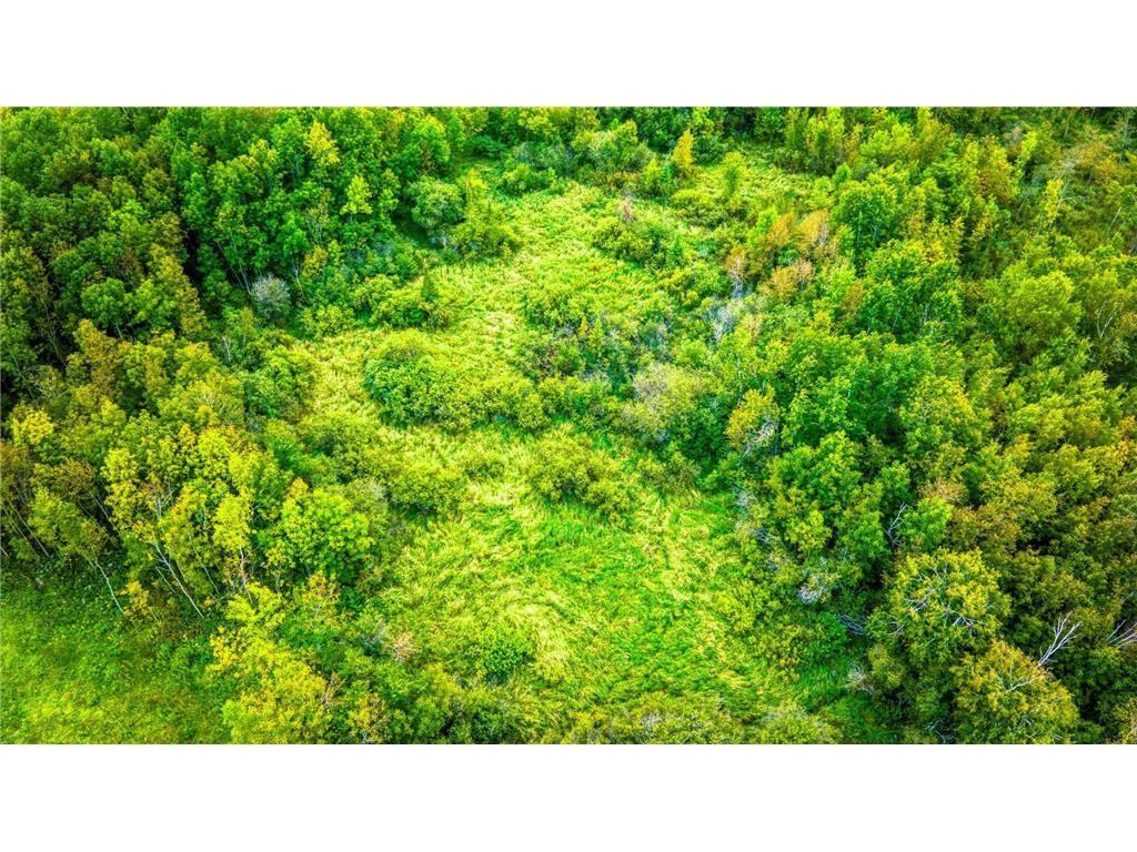 12479 Battle Road NE Blackduck MN 56630 6789860 image14