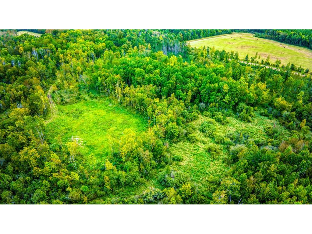 12479 Battle Road NE Blackduck MN 56630 6789860 image15
