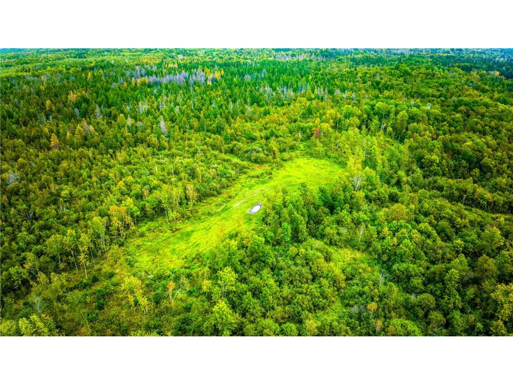 12479 Battle Road NE Blackduck MN 56630 6789860 image16