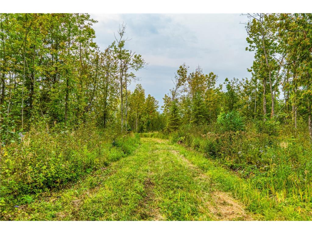 12479 Battle Road NE Blackduck MN 56630 6789860 image2