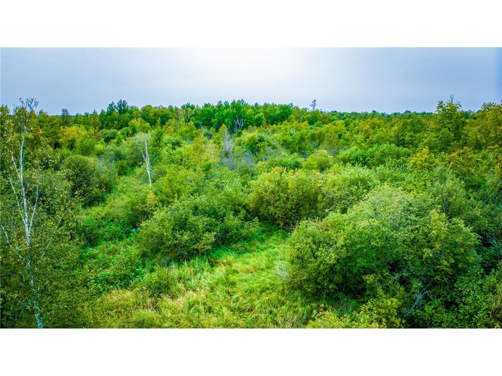 12479 Battle Road NE Blackduck MN 56630 6789860 image21