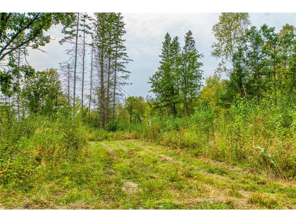 12479 Battle Road NE Blackduck MN 56630 6789860 image27