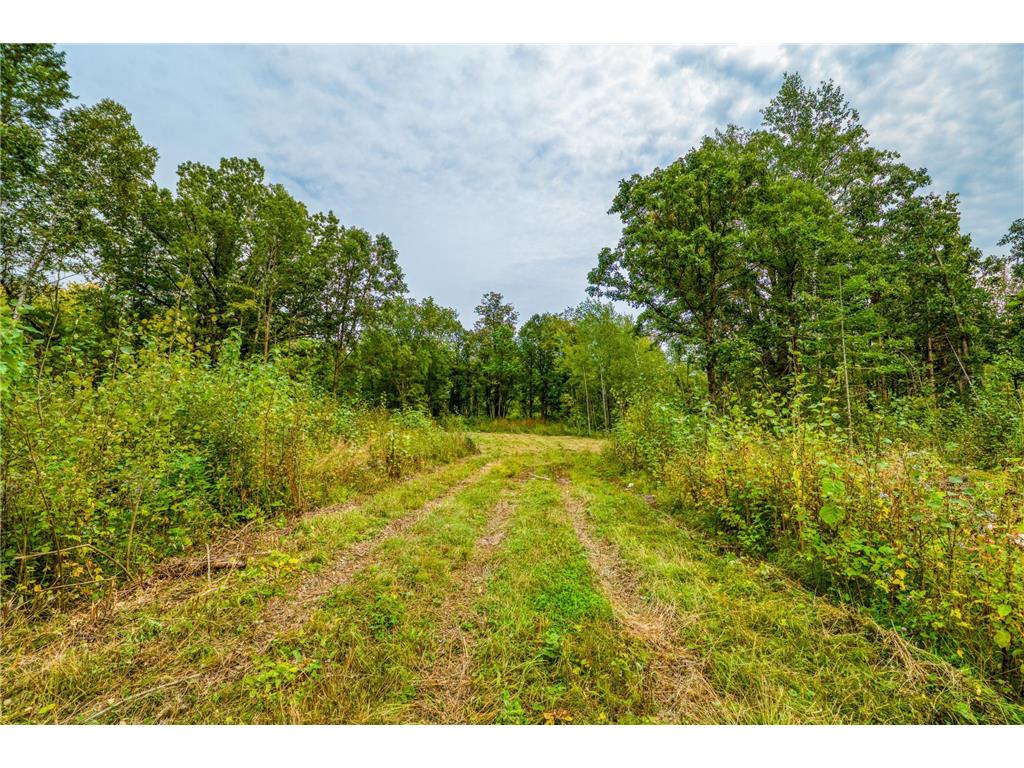 12479 Battle Road NE Blackduck MN 56630 6789860 image28