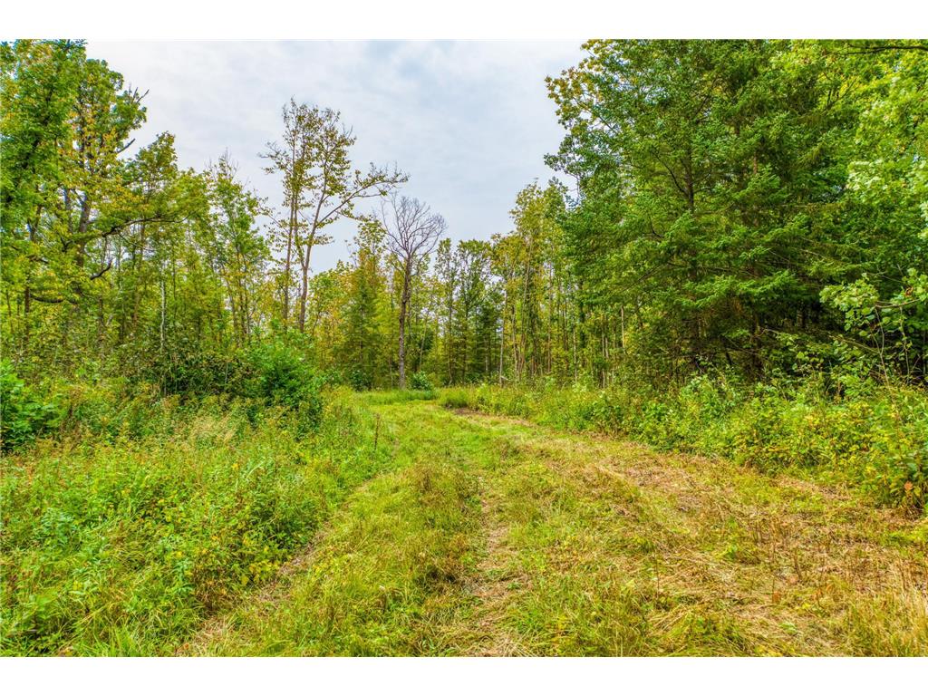 12479 Battle Road NE Blackduck MN 56630 6789860 image29