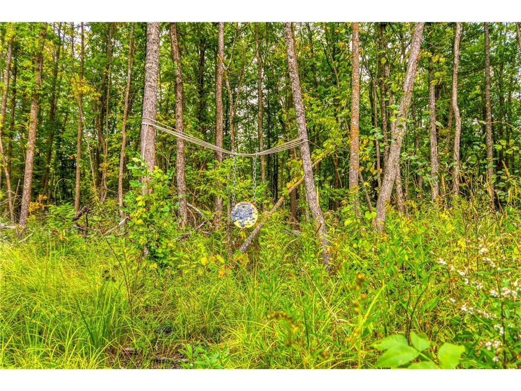 12479 Battle Road NE Blackduck MN 56630 6789860 image31