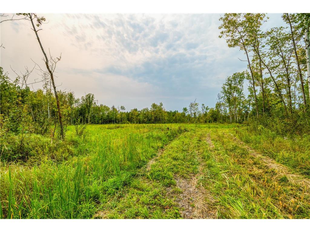 12479 Battle Road NE Blackduck MN 56630 6789860 image32