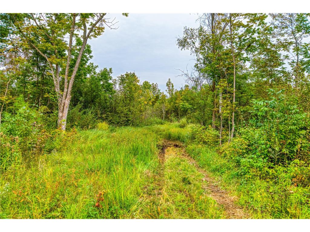 12479 Battle Road NE Blackduck MN 56630 6789860 image33