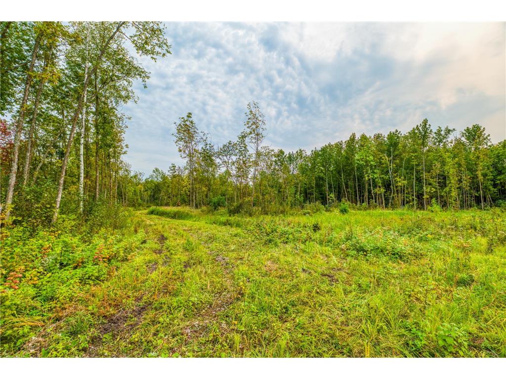 12479 Battle Road NE Blackduck MN 56630 6789860 image34