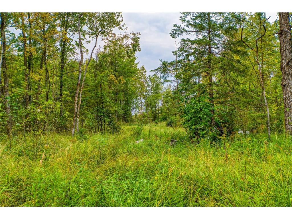 12479 Battle Road NE Blackduck MN 56630 6789860 image36
