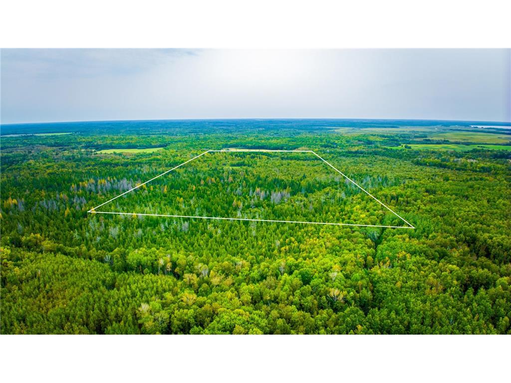 12479 Battle Road NE Blackduck MN 56630 6789860 image4