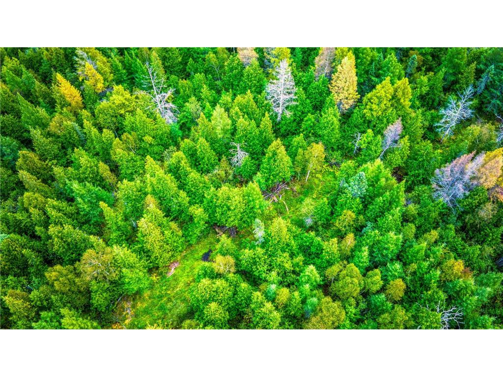 12479 Battle Road NE Blackduck MN 56630 6789860 image8