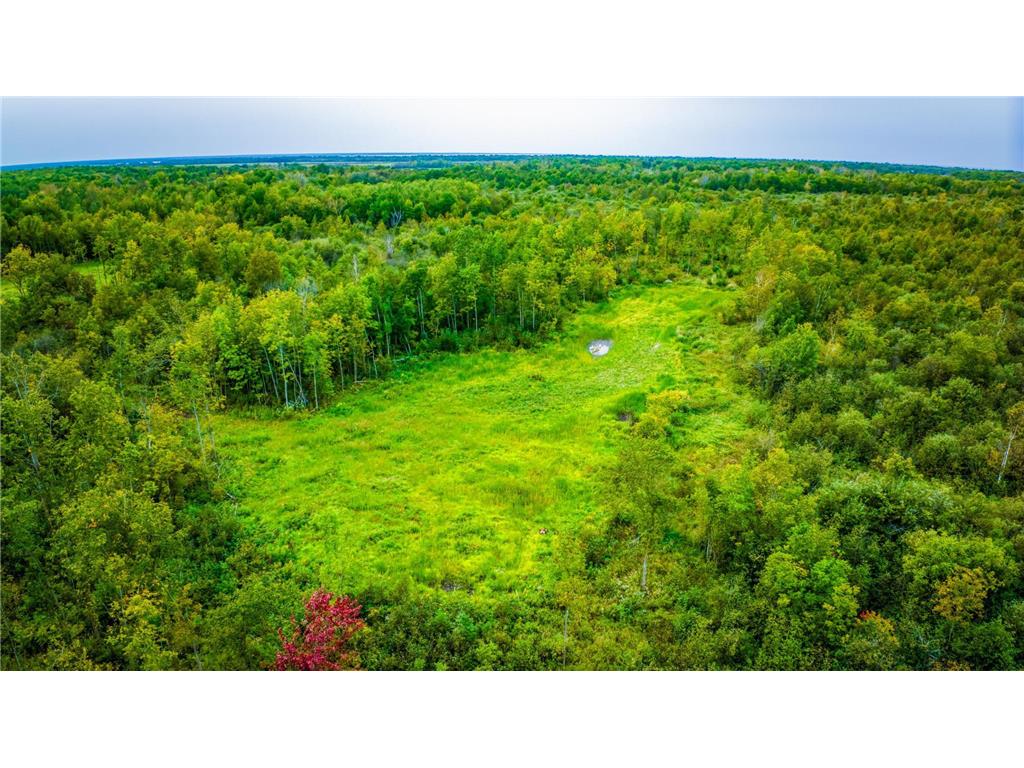 12479 Battle Road NE Blackduck MN 56630 6789860 image9