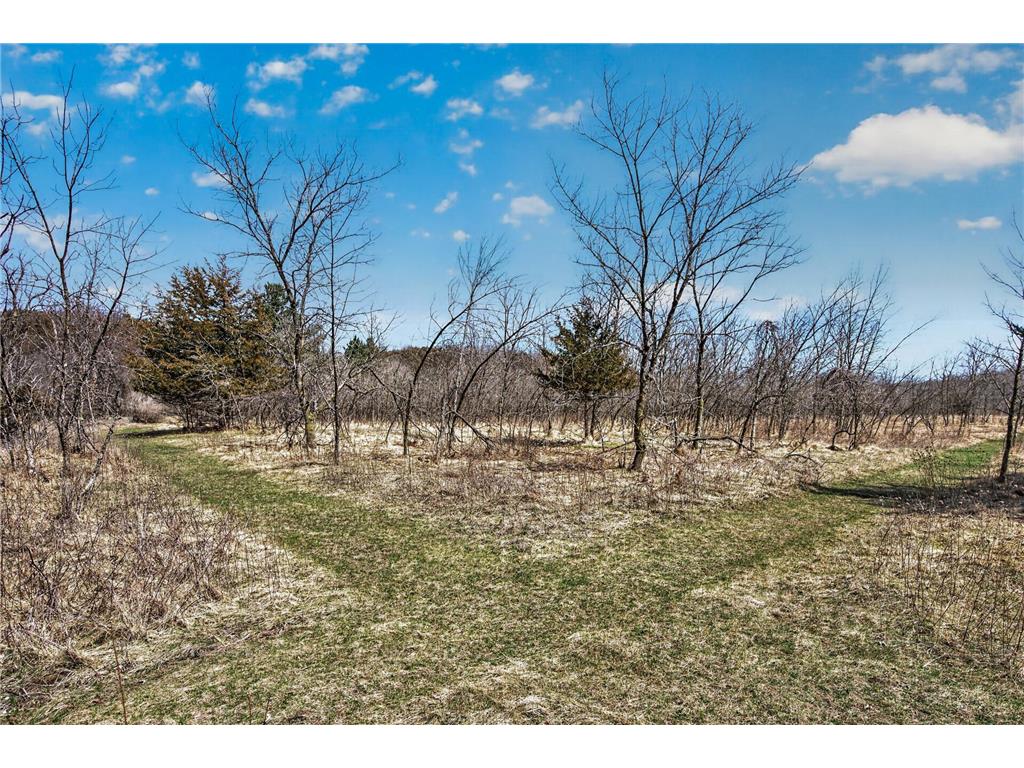 12484 Sunset Trail Vasa Twp MN 55089 - Cannon River 7052269 image11