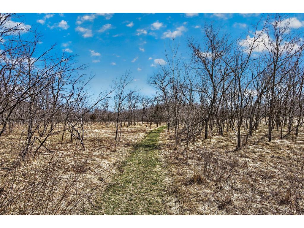 12484 Sunset Trail Vasa Twp MN 55089 - Cannon River 7052269 image17