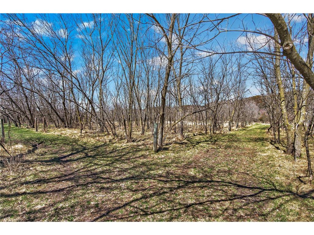 12484 Sunset Trail Vasa Twp MN 55089 - Cannon River 7052269 image40