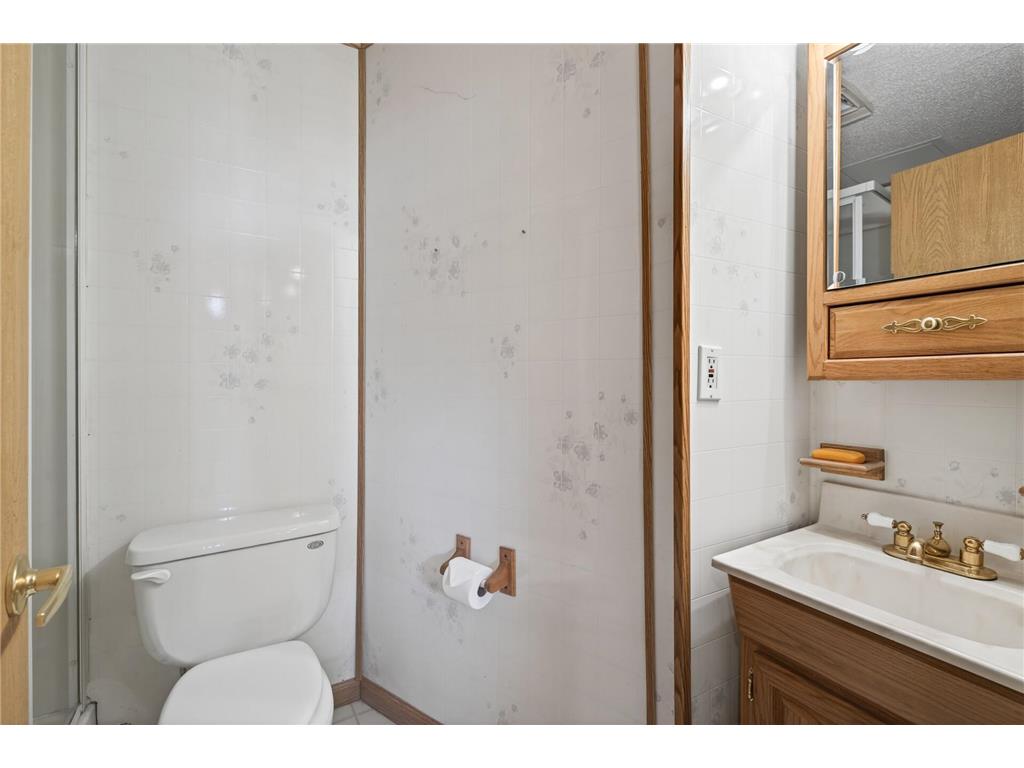 1249 Ashland Avenue Saint Paul Park MN 55071 7073084 image31