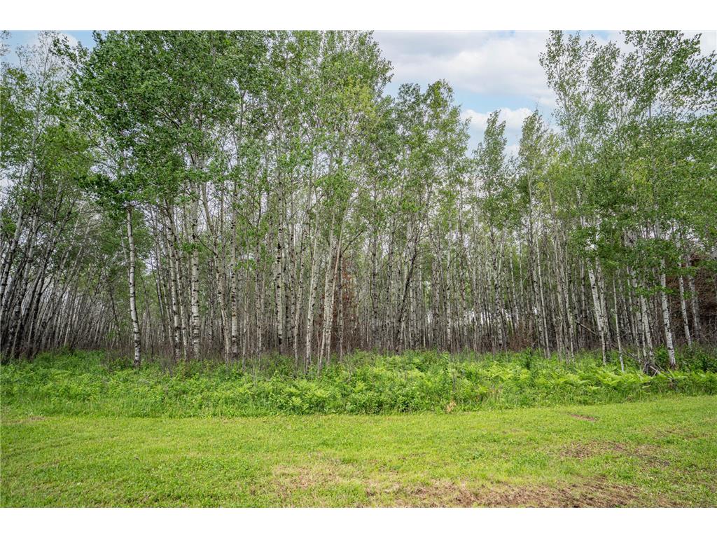 1249 Gabbro Road Fairbanks Twp MN 55602 - Tommila 7089704 image13