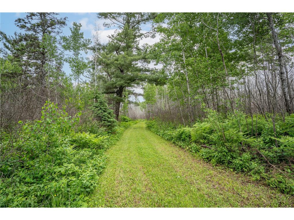 1249 Gabbro Road Fairbanks Twp MN 55602 - Tommila 7089704 image16