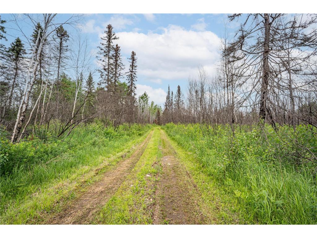 1249 Gabbro Road Fairbanks Twp MN 55602 - Tommila 7089704 image20