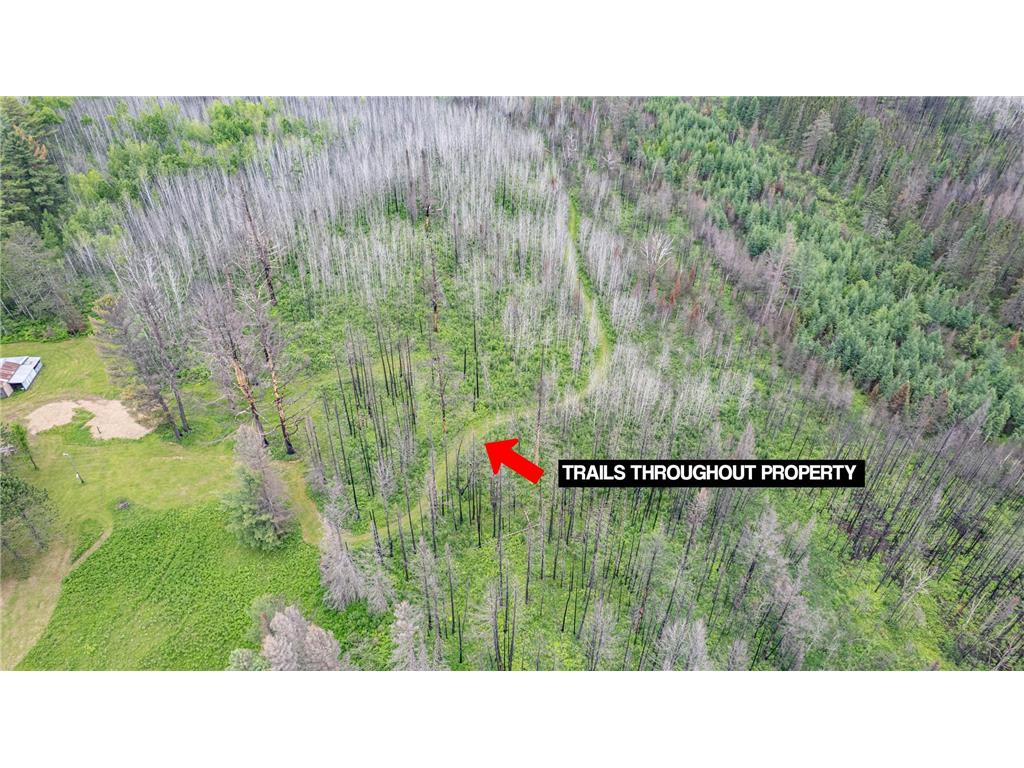1249 Gabbro Road Fairbanks Twp MN 55602 - Tommila 7089704 image5