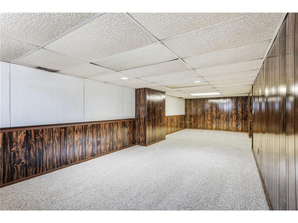1249 Gary Drive Saint Paul Park MN 55071 7057940 image20