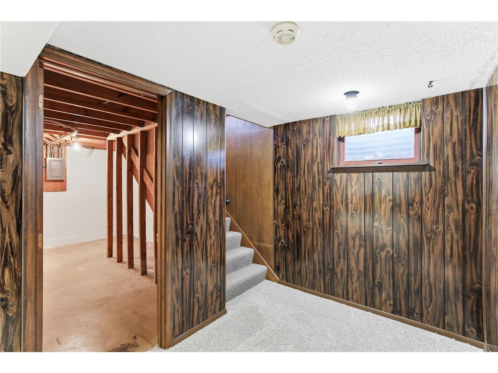 1249 Gary Drive Saint Paul Park MN 55071 7057940 image21