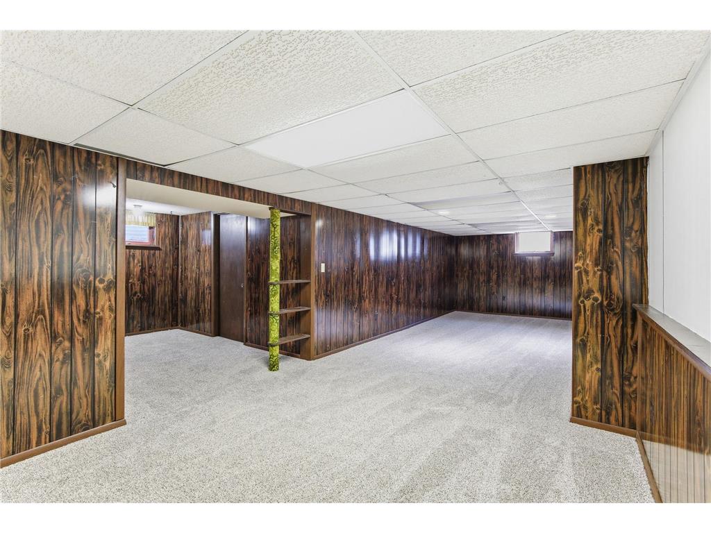 1249 Gary Drive Saint Paul Park MN 55071 7057940 image23