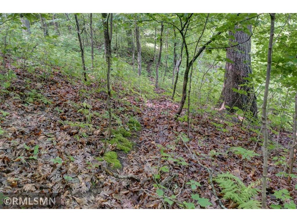 124XX N Gabrielson Lake Road Trade Lake WI 54853 7089800 image10