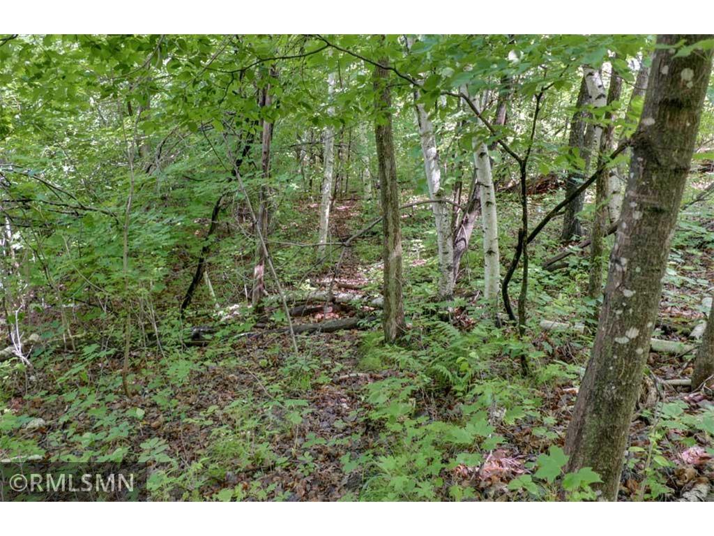 124XX N Gabrielson Lake Road Trade Lake WI 54853 7089800 image12