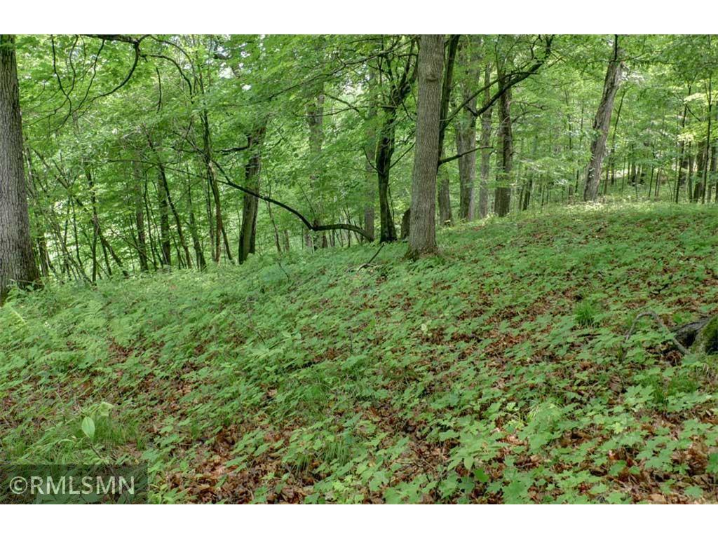 124XX N Gabrielson Lake Road Trade Lake WI 54853 7089800 image13