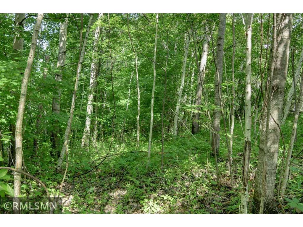 124XX N Gabrielson Lake Road Trade Lake WI 54853 7089800 image14
