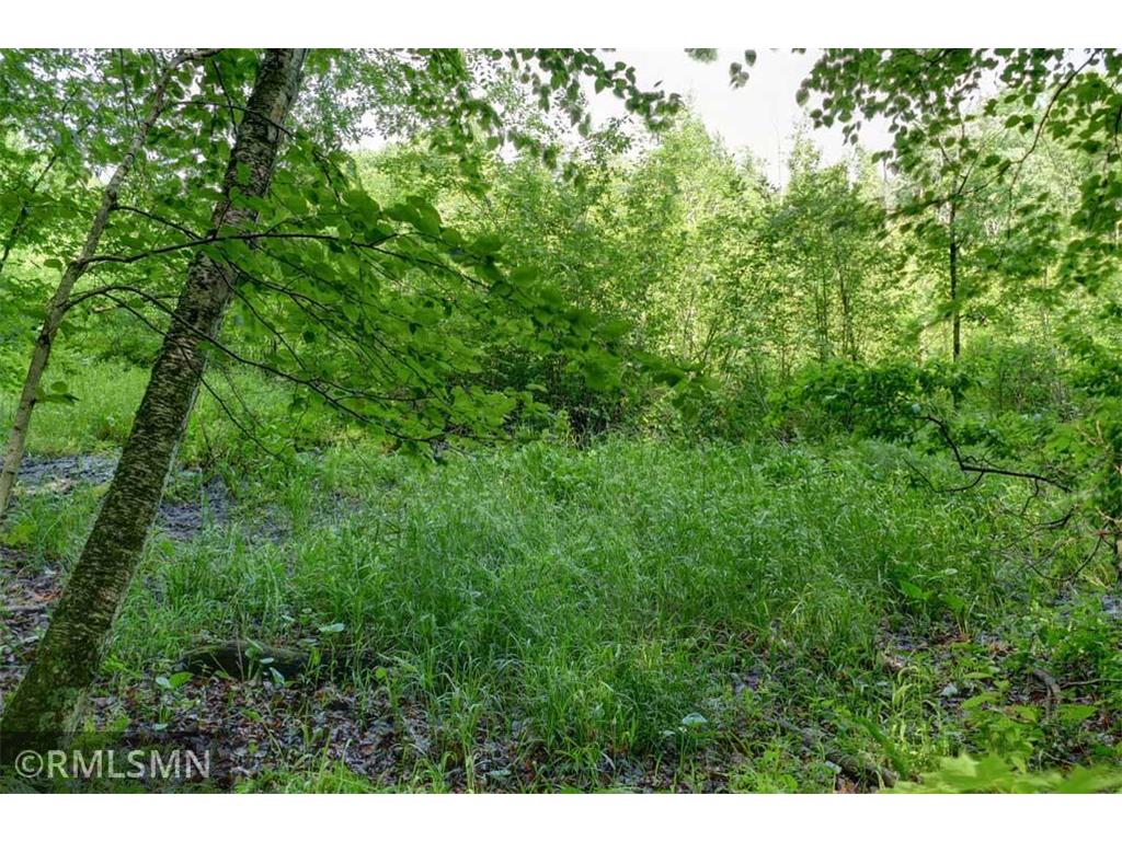 124XX N Gabrielson Lake Road Trade Lake WI 54853 7089800 image15