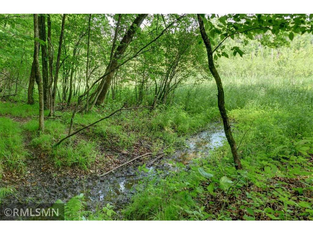 124XX N Gabrielson Lake Road Trade Lake WI 54853 7089800 image16