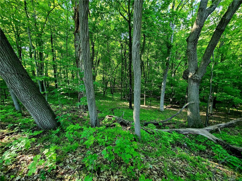 125 Alabama Street Saint Croix Falls WI 54024 6542954 image1