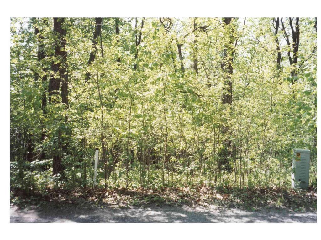 125 Oak Turnagain Court Glenwood MN 56334 - Minnewaska 7065528 image11