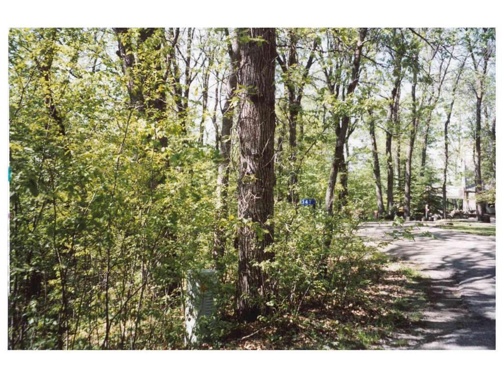 125 Oak Turnagain Court Glenwood MN 56334 - Minnewaska 7065528 image12