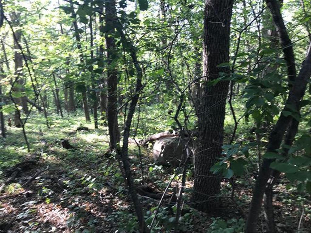 125 Oak Turnagain Court Glenwood MN 56334 - Minnewaska 7065528 image3