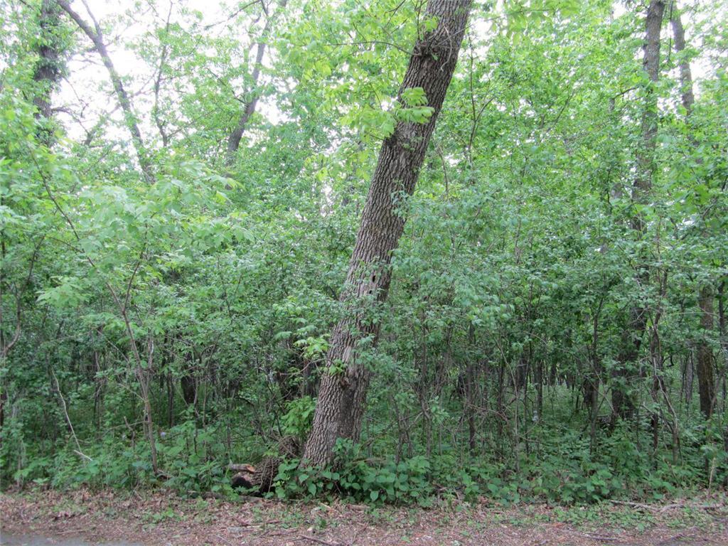 125 Oak Turnagain Court Glenwood MN 56334 - Minnewaska 7065528 image7