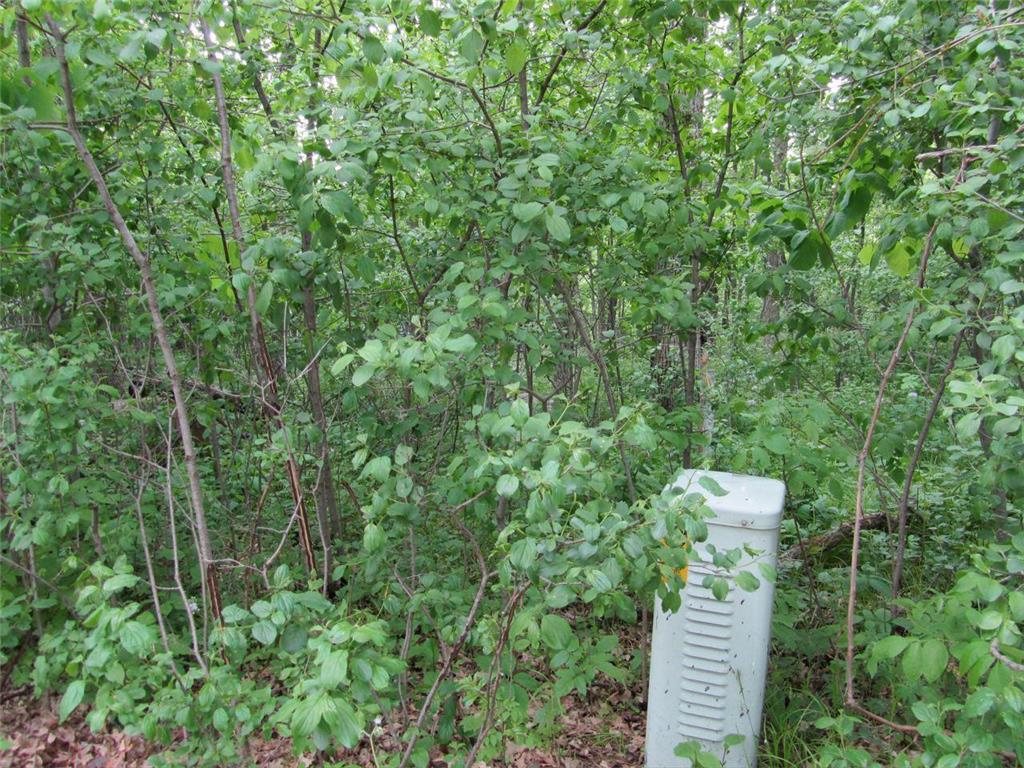 125 Oak Turnagain Court Glenwood MN 56334 - Minnewaska 7065528 image9