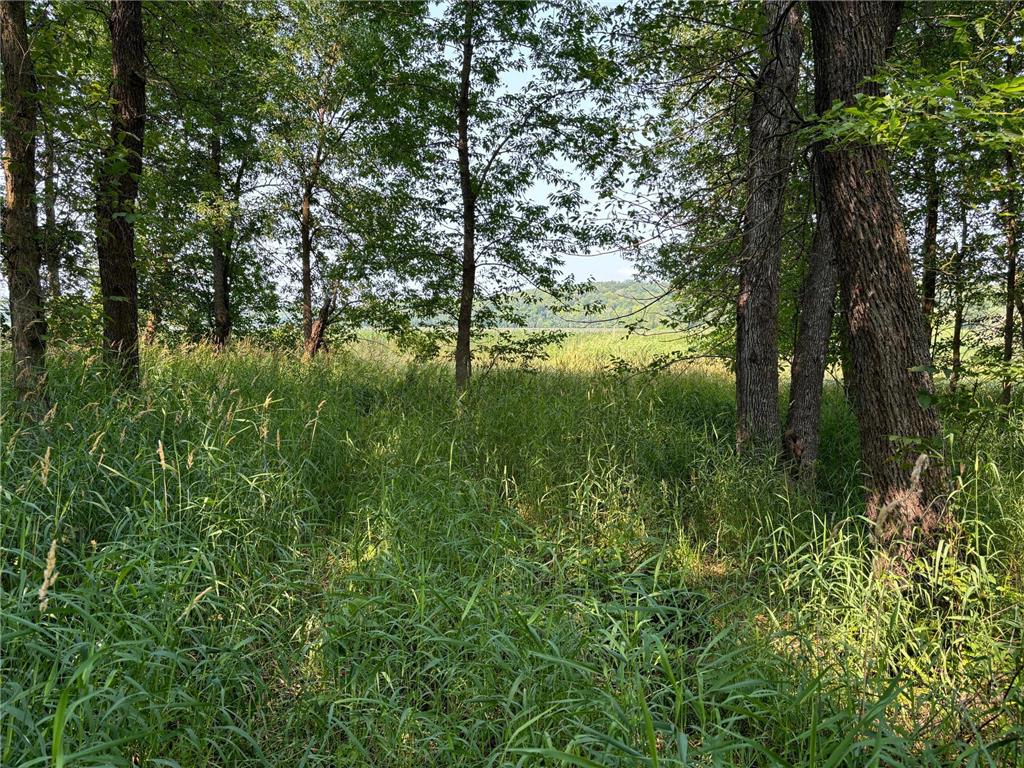 1250 Island Lake Resort Drive Island Lake Twp MN 56651 - Island Lake 6575860 image2