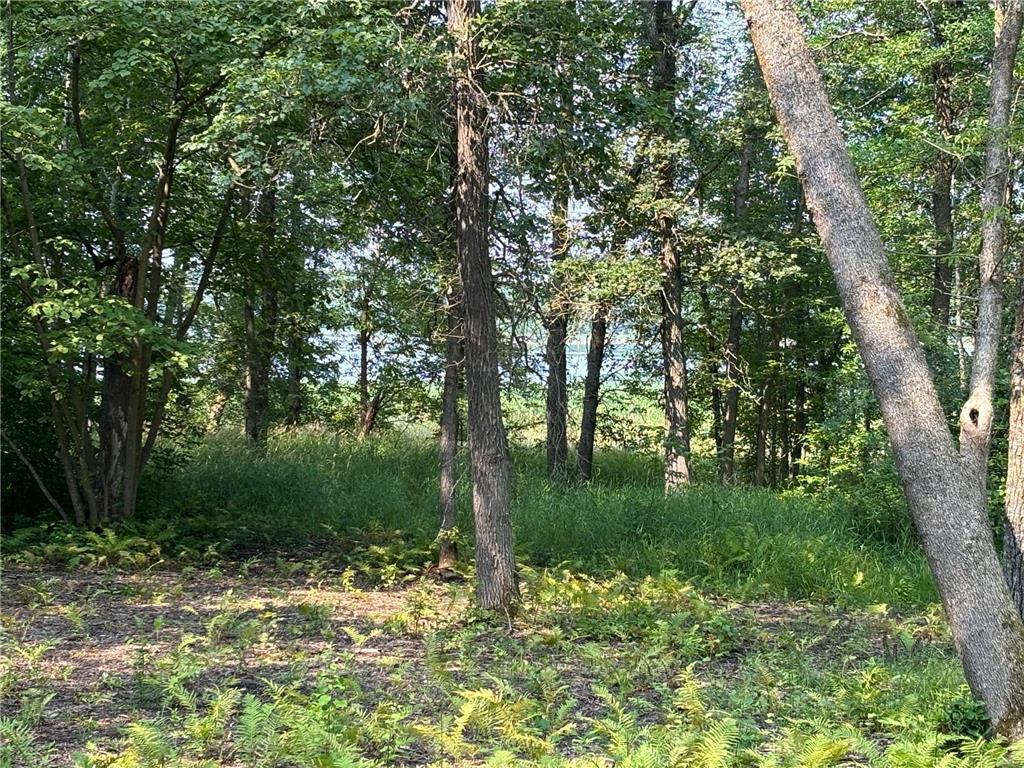 1250 Island Lake Resort Drive Island Lake Twp MN 56651 - Island Lake 6575860 image3