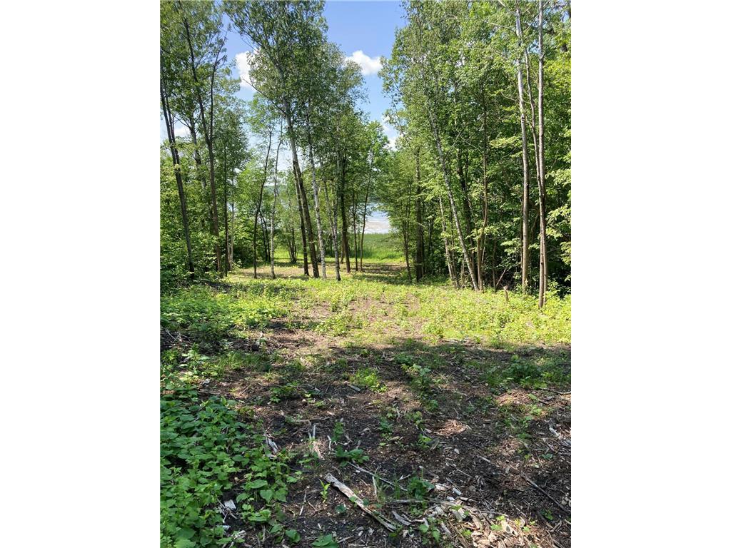 1250 Island Lake Resort Drive Island Lake Twp MN 56651 - Island Lake 6575860 image4