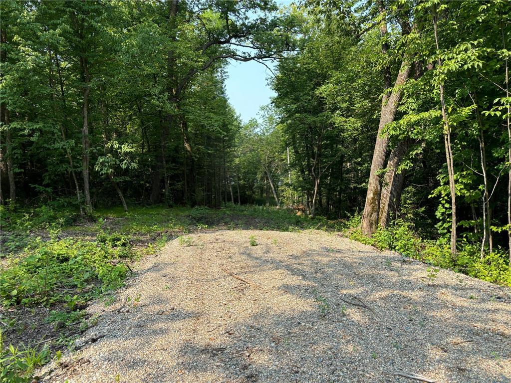 1250 Island Lake Resort Drive Island Lake Twp MN 56651 - Island Lake 6575860 image5